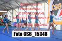 CS6_15348-