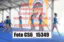 CS6_15349-
