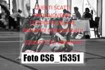CS6_15351-