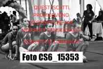 CS6_15353-