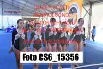 CS6_15356-