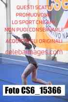 CS6_15366-