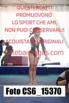 CS6_15370-