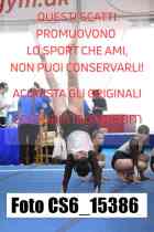 CS6_15386-