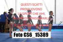 CS6_15389-