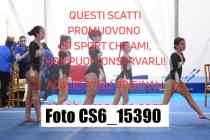 CS6_15390-