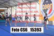 CS6_15393-