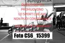 CS6_15399-