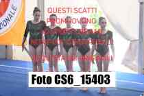 CS6_15403-