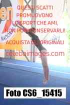 CS6_15415-