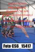 CS6_15417-