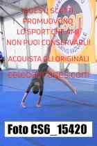 CS6_15420-