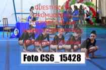 CS6_15428-