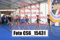CS6_15431-