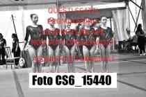 CS6_15440-