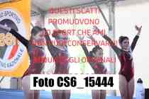 CS6_15444-
