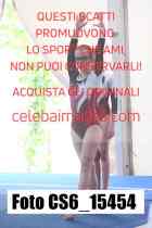 CS6_15454-