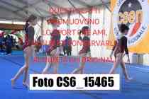 CS6_15465-
