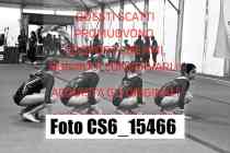 CS6_15466-