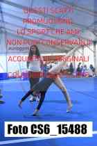 CS6_15488-