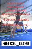 CS6_15490-