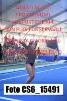 CS6_15491-