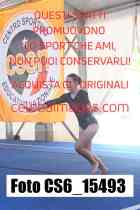CS6_15493-