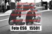 CS6_15501-