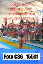 CS6_15511-