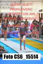 CS6_15514-