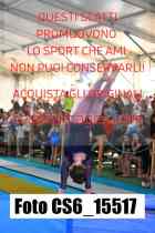 CS6_15517-