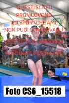 CS6_15518-