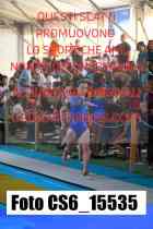 CS6_15535-