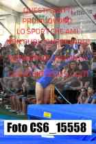 CS6_15558-