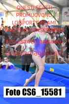 CS6_15581-