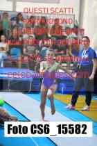 CS6_15582-