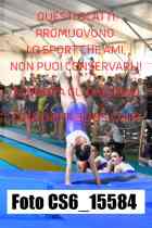 CS6_15584-