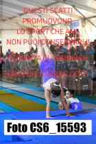 CS6_15593-