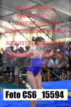 CS6_15594-