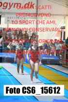 CS6_15612-