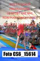CS6_15614-