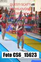 CS6_15623-