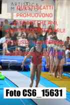CS6_15631-