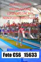 CS6_15633-