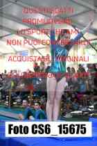 CS6_15675-