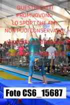 CS6_15687-