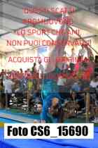 CS6_15690-