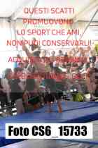 CS6_15733-