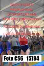 CS6_15784-