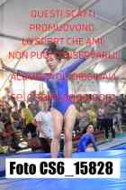CS6_15828-